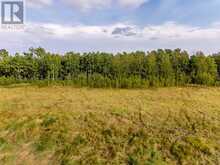 40 acres Range Road 44 Rural Mountain View