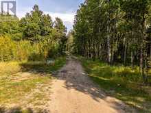 40 acres Range Road 44 Rural Mountain View