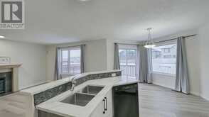 246 Saddlefield Place NE Calgary