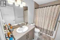 226 Saddlelake Terrace NE Calgary