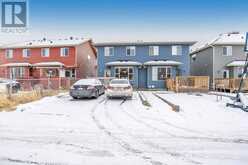 226 Saddlelake Terrace NE Calgary