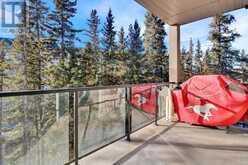 438, 20 Discovery Ridge Close SW Calgary