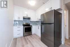 221 HOMESTEAD Terrace NE Calgary