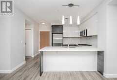 3318, 95 Burma Star Road SW Calgary