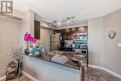 308, 15 Saddlestone Way NE Calgary