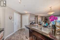 308, 15 Saddlestone Way NE Calgary