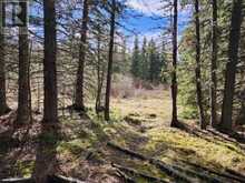 231234 Range Road 54 Range Rural Rocky View