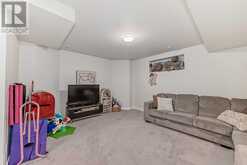 4 Saddlebrook Circle NE Calgary