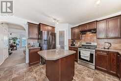 4 Saddlebrook Circle NE Calgary