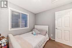 4 Saddlebrook Circle NE Calgary