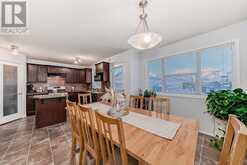 4 Saddlebrook Circle NE Calgary