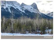 300 & 302 Bow Valley Trail Canmore