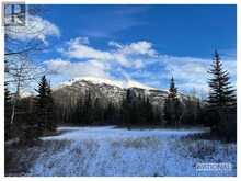 300 & 302 Bow Valley Trail Canmore