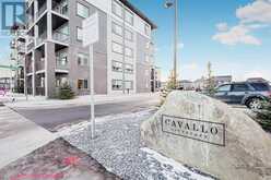 1117, 395 Skyview Parkway NE Calgary