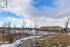 301, 92 Saddletree Court NE Calgary