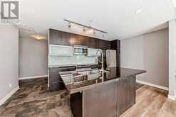 1201, 215 13 Avenue SW Calgary