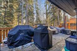 602 Larch Place Canmore