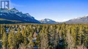 602 Larch Place Canmore