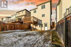 250 COVEMEADOW Crescent NE Calgary