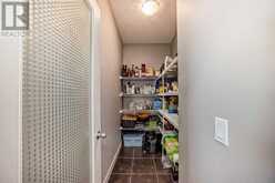 120 Seagreen Passage Chestermere