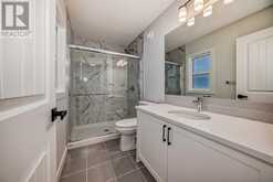 96 creekstone Landing SW Calgary