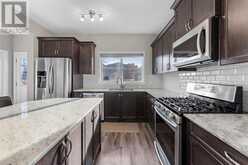 219 Cornerstone Avenue NE Calgary