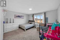 18 Skyview Close NE Calgary