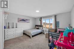 18 Skyview Close NE Calgary