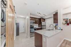 114, 15 Saddlestone Way NE Calgary