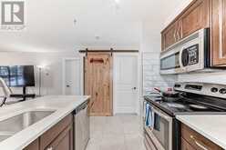 114, 15 Saddlestone Way NE Calgary