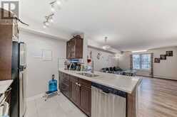 114, 15 Saddlestone Way NE Calgary