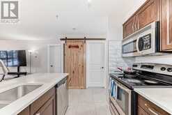 114, 15 Saddlestone Way NE Calgary