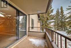 214, 2425 90 Avenue SW Calgary