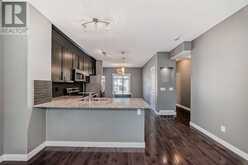 504 Skyview Point Place Calgary