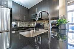 4209, 155 skyview ranch Way NE Calgary