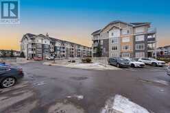 4209, 155 skyview ranch Way NE Calgary