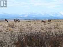 Glenbow Rd. & Mountain Ridge Place Road Rural Rocky View