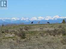 Glenbow Rd. & Mountain Ridge Place Road Rural Rocky View