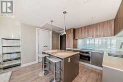 3401, 1122 3 Street SE Calgary