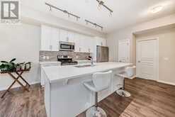 206 Auburn Meadows Walk SE Calgary