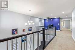 133 Saddlelake Grove NE Calgary