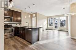 209, 22 Panatella Road NW Calgary