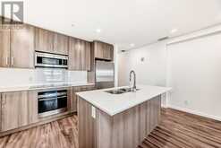 301, 1629 38 Street SW Calgary