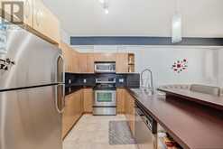 214, 69 Springborough Court SW Calgary