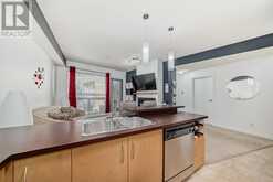 214, 69 Springborough Court SW Calgary