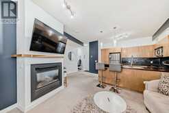 214, 69 Springborough Court SW Calgary