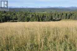 Lot 11 Whiskey Springs Hill W Rural Foothills