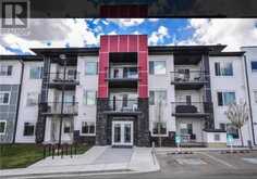 313, 12 Sage Hill Terrace NW Calgary