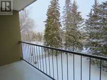 204, 328 Cedar Crescent SW Calgary