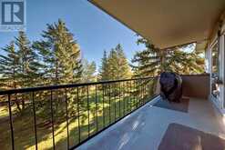 204, 328 Cedar Crescent SW Calgary